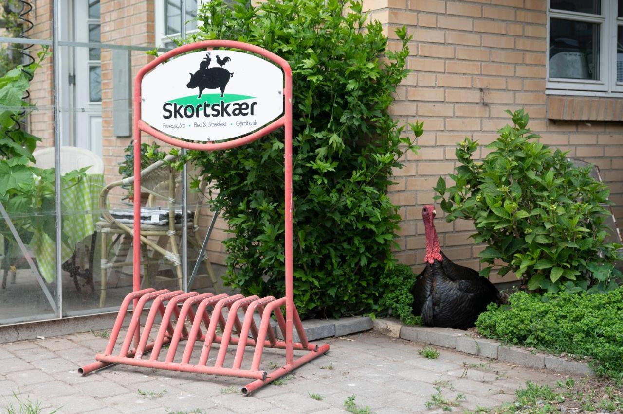 Havnsø Skortskaer Bondegardsferie B&B 외부 사진