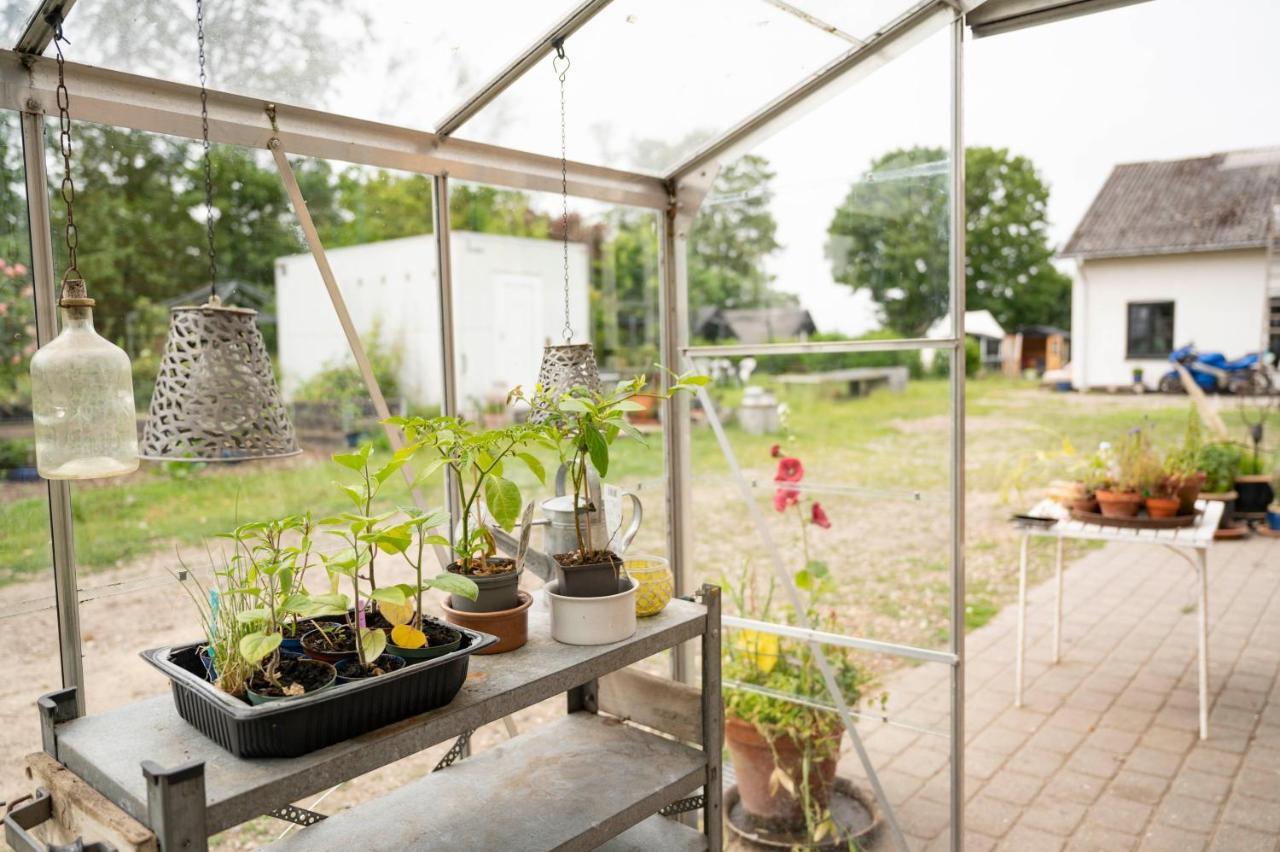 Havnsø Skortskaer Bondegardsferie B&B 외부 사진