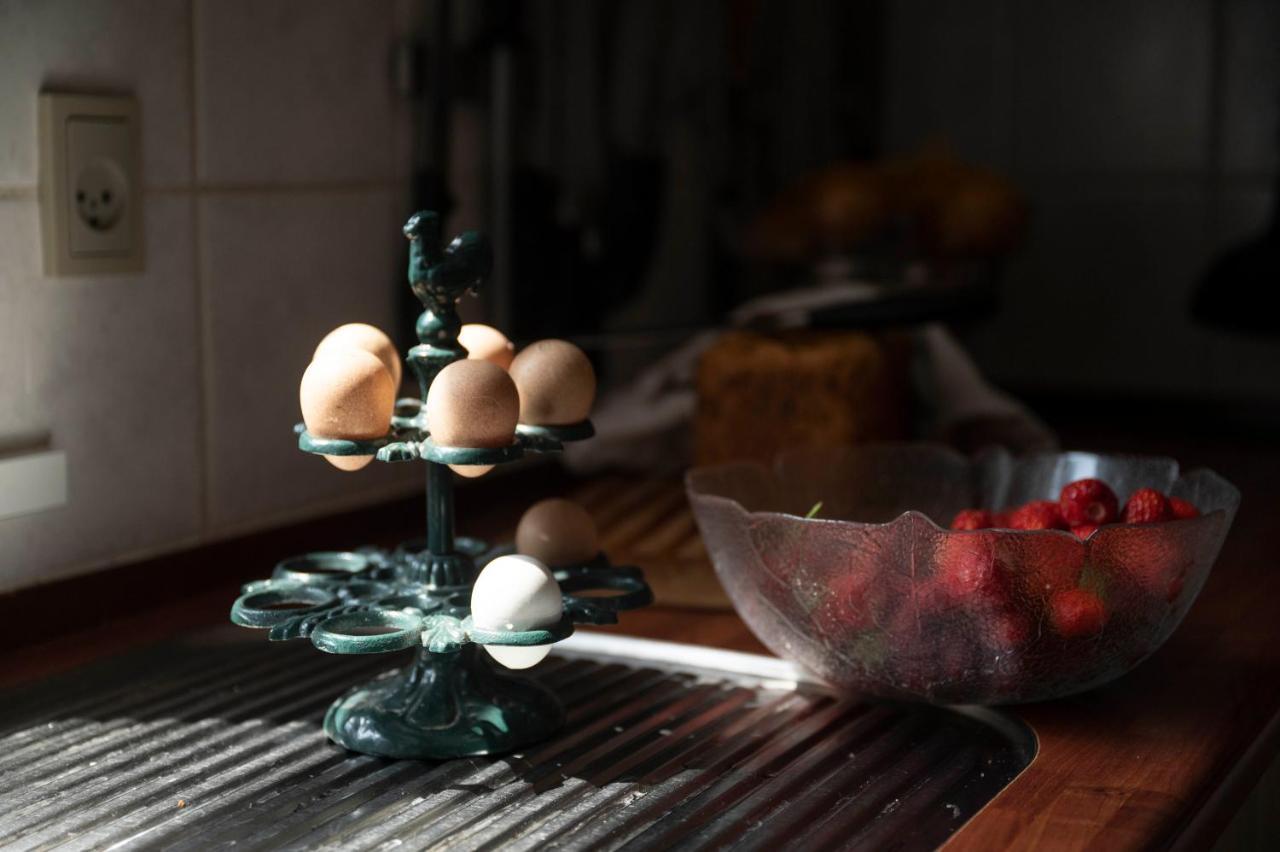 Havnsø Skortskaer Bondegardsferie B&B 외부 사진