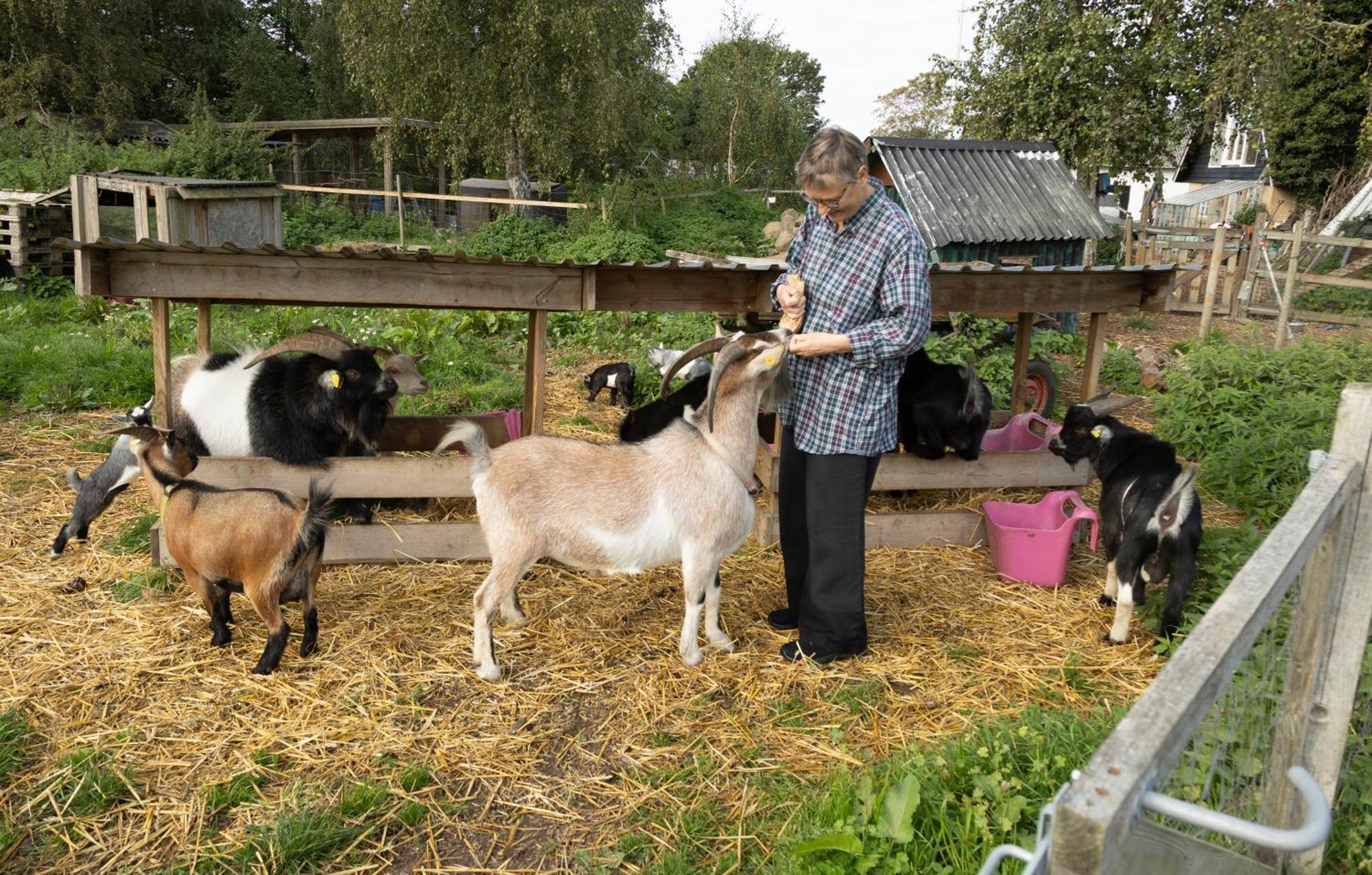 Havnsø Skortskaer Bondegardsferie B&B 외부 사진