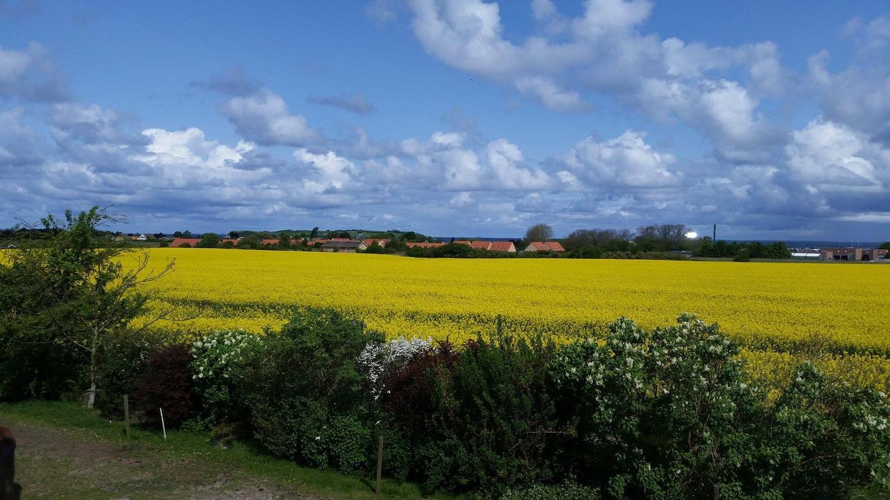 Havnsø Skortskaer Bondegardsferie B&B 외부 사진
