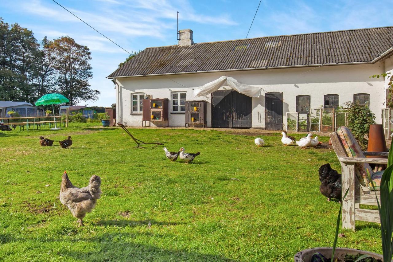 Havnsø Skortskaer Bondegardsferie B&B 객실 사진